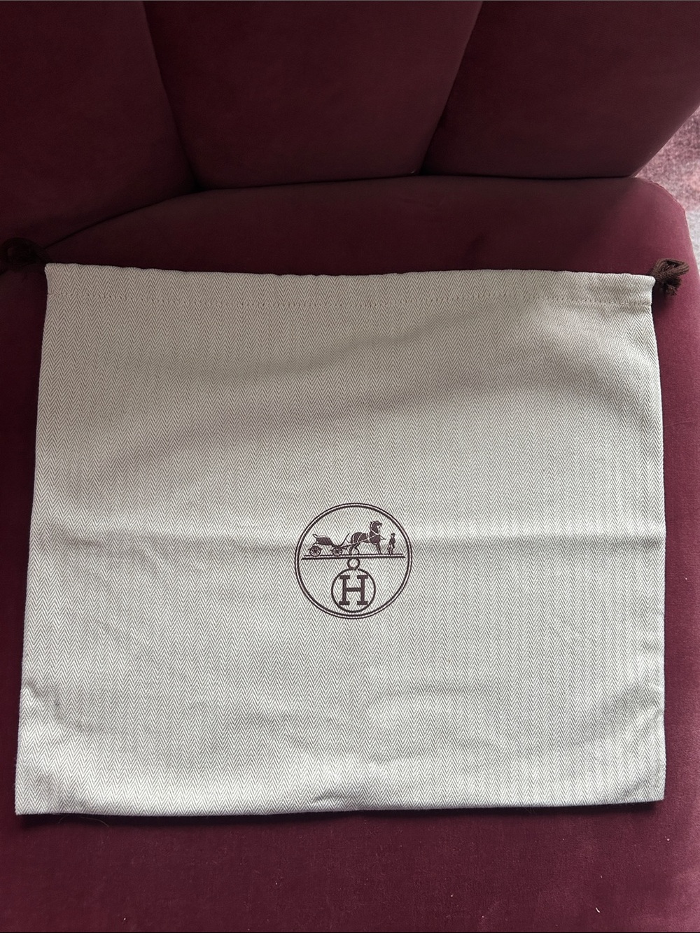 Hermes Dustbag